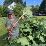 2026-06-15-rhubarbe-et-jocelyne-cultive-le-partage-la-brouette